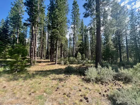 670 Redtail Loop, Clio, CA 96106 photo 2