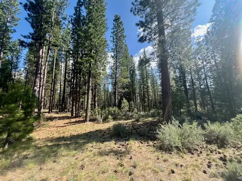 670 Redtail Loop, Clio, CA 96106 photo 6