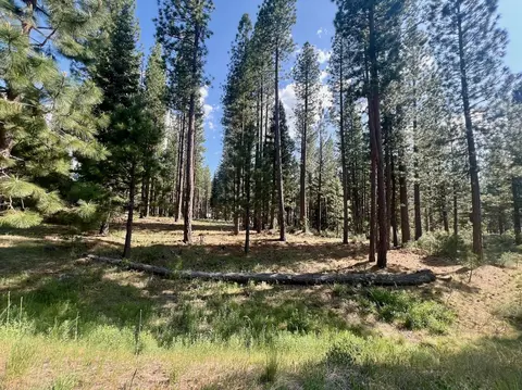 670 Redtail Loop, Clio, CA 96106 photo 12