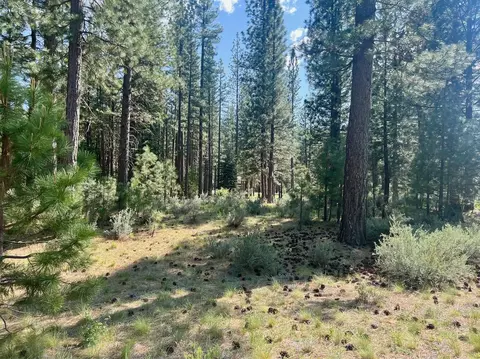 670 Redtail Loop, Clio, CA 96106 photo 3
