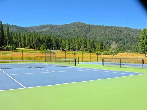 670 Redtail Loop, Clio, CA 96106 photo 22