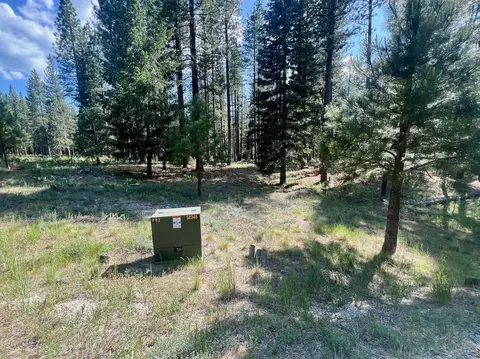 670 Redtail Loop, Clio, CA 96106 photo 9