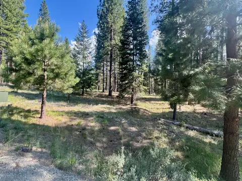 670 Redtail Loop, Clio, CA 96106 photo 8