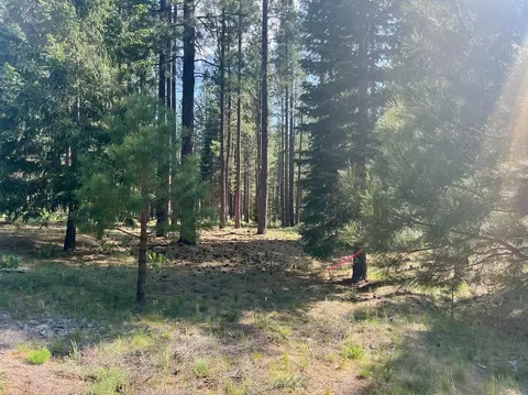 670 Redtail Loop, Clio, CA 96106 photo 10