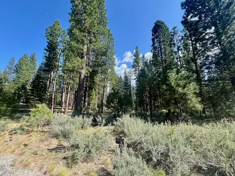 670 Redtail Loop, Clio, CA 96106 photo 5