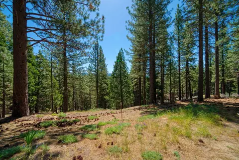 Exterior - 2467 Orchard Ridge Loop, Clio, CA 96106 photo 13 of 16