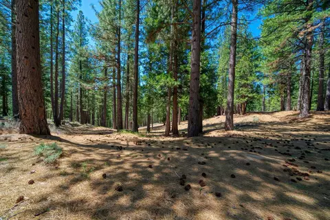 Exterior - 2467 Orchard Ridge Loop, Clio, CA 96106 photo 16 of 16