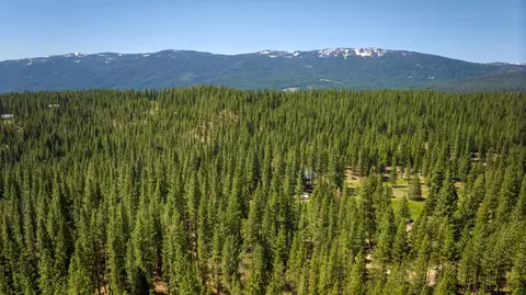 Other - 2467 Orchard Ridge Loop, Clio, CA 96106 photo 18 of 19