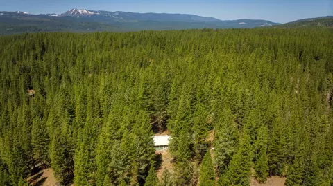 Other - 2467 Orchard Ridge Loop, Clio, CA 96106 photo 19 of 19