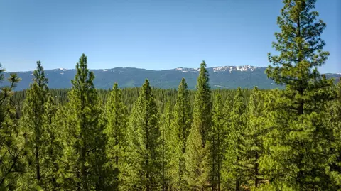 Other - 2467 Orchard Ridge Loop, Clio, CA 96106 photo 17 of 19