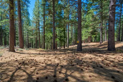 Exterior - 2467 Orchard Ridge Loop, Clio, CA 96106 photo 14 of 16