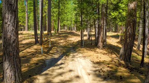 Other - 2467 Orchard Ridge Loop, Clio, CA 96106 photo 14 of 19