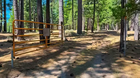 Other - 2467 Orchard Ridge Loop, Clio, CA 96106 photo 16 of 19