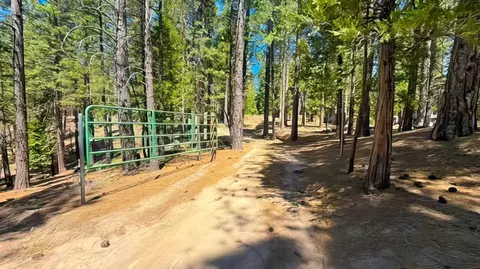 Other - 2467 Orchard Ridge Loop, Clio, CA 96106 photo 15 of 19