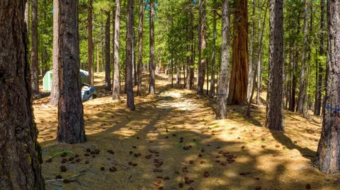 Exterior - 2467 Orchard Ridge Loop, Clio, CA 96106 photo 12 of 16