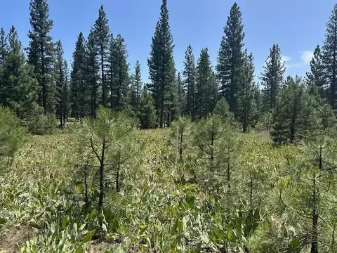 157 Arrowleaf Rd, Portola, CA 96122