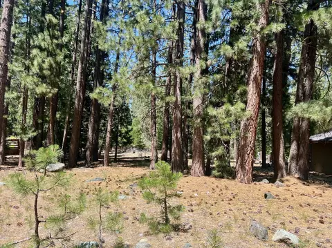 38 Tolowa Trl, Graeagle, CA 96103 photo 7