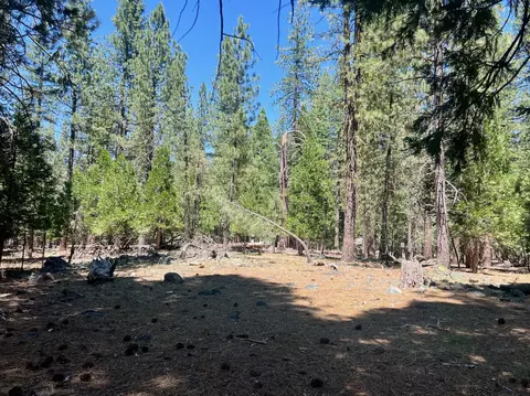 38 Tolowa Trl, Graeagle, CA 96103 photo 11