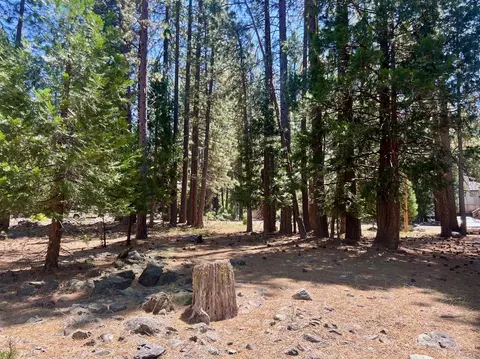 38 Tolowa Trl, Graeagle, CA 96103 photo 17