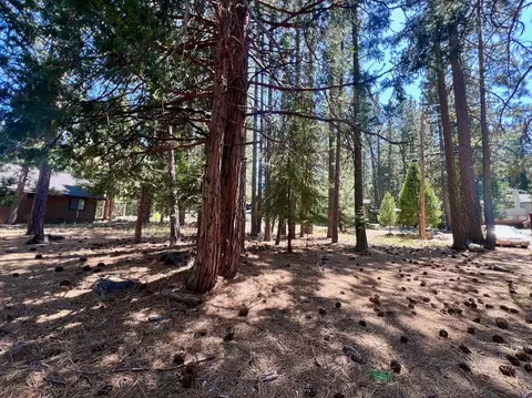 38 Tolowa Trl, Graeagle, CA 96103 photo 13