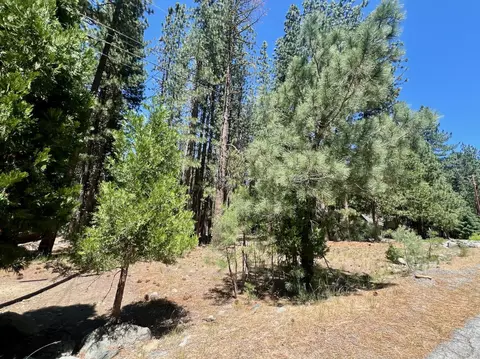 38 Tolowa Trl, Graeagle, CA 96103 photo 9