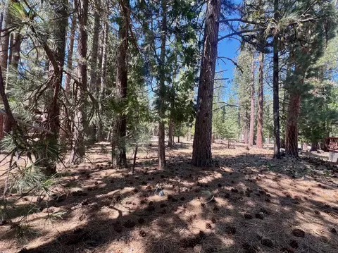 38 Tolowa Trl, Graeagle, CA 96103 photo 23