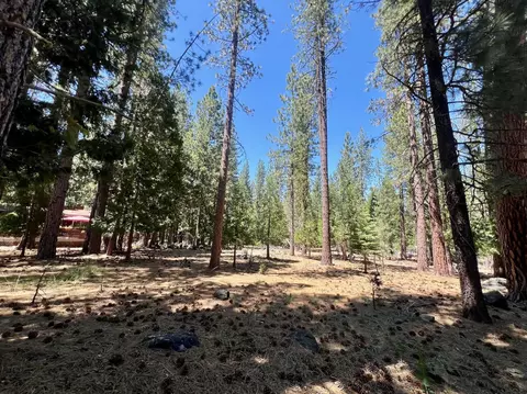 38 Tolowa Trl, Graeagle, CA 96103 photo 21