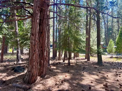 38 Tolowa Trl, Graeagle, CA 96103