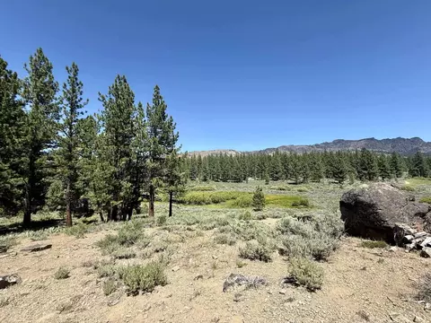 4769 Dixie Valley Rd, Chilcoot, CA 96105 photo 2