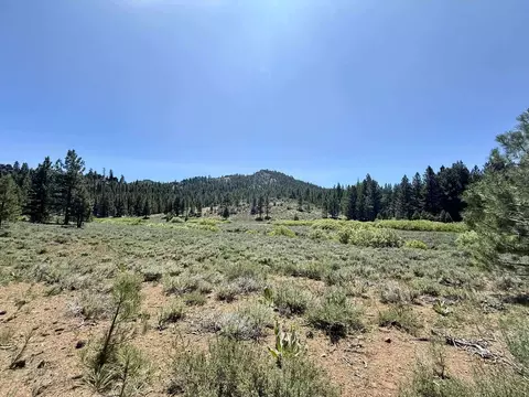 4769 Dixie Valley Rd, Chilcoot, CA 96105 photo 11