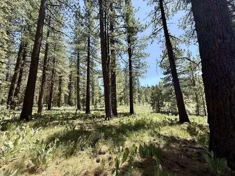 4769 Dixie Valley Rd, Chilcoot, CA 96105 photo 9