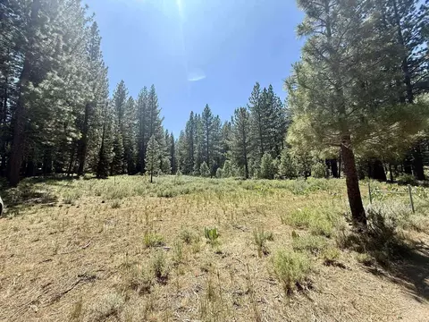 4769 Dixie Valley Rd, Chilcoot, CA 96105 photo 7