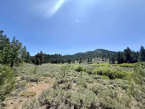 4769 Dixie Valley Rd, Chilcoot, CA 96105 photo 6