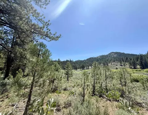 4769 Dixie Valley Rd, Chilcoot, CA 96105 photo 10