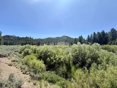 4769 Dixie Valley Rd, Chilcoot, CA 96105 photo 4