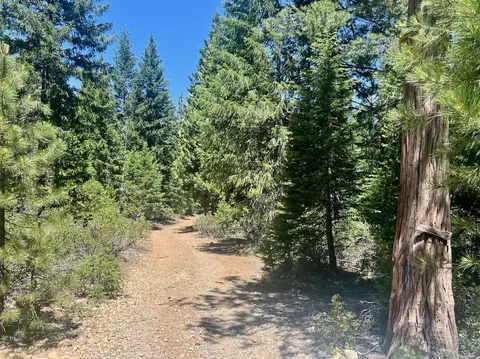 910 Mountain Dr, Johnsville, CA 96103