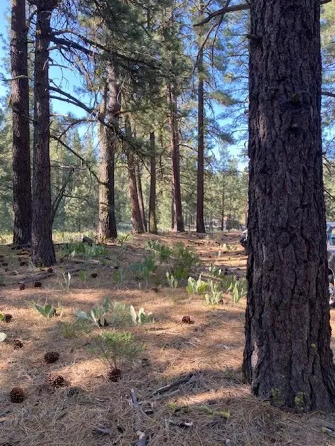 410 Idle Hour Dr, Portola, CA 96122