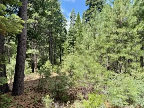 56 Fox Crest Dr, Lake Almanor, CA 96137