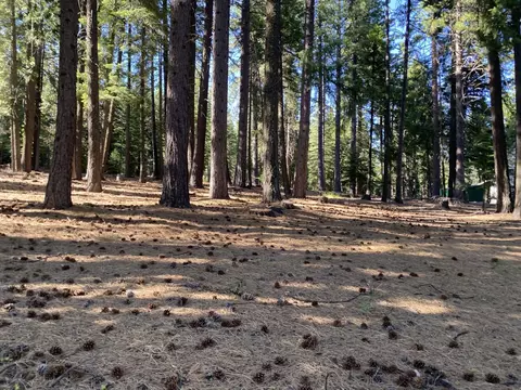 615 E Mountain Ridge Rd, Lake Almanor, CA 96137