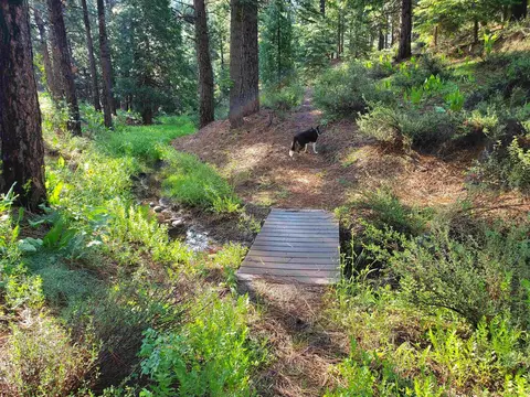 012-190 024 Main St, Calpine, CA 96124