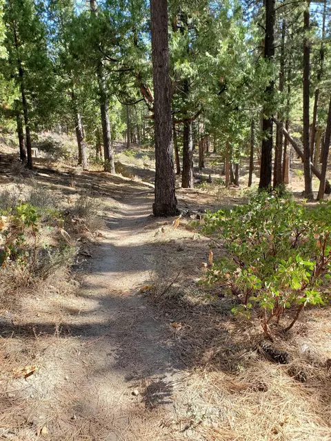 012-190 024 Main St, Calpine, CA 96124 photo 3