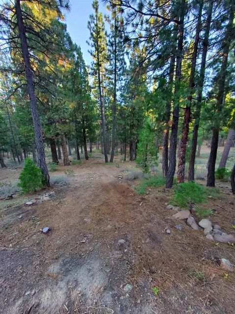 012-190 024 Main St, Calpine, CA 96124 photo 4