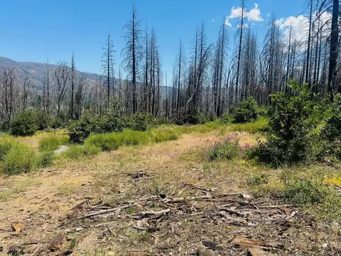 172 Standart Mine Rd, Greenville, CA 95947