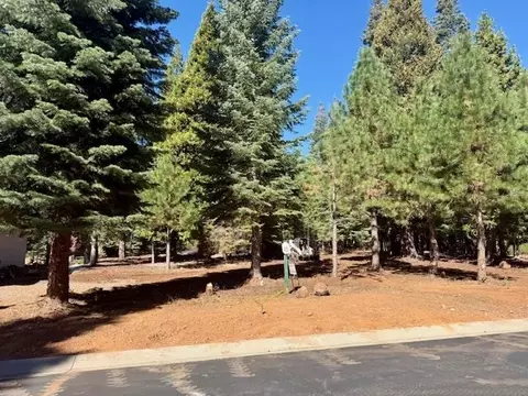 311 Alpine Fir Rd, Lake Almanor, CA 96137