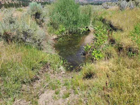 414-000 Scott Rd, Doyle, CA 96109 photo 10