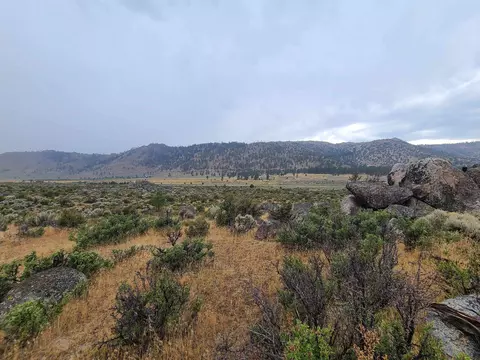 414-000 Scott Rd, Doyle, CA 96109 photo 25