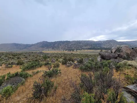 414-000 Scott Rd, Doyle, CA 96109 photo 25