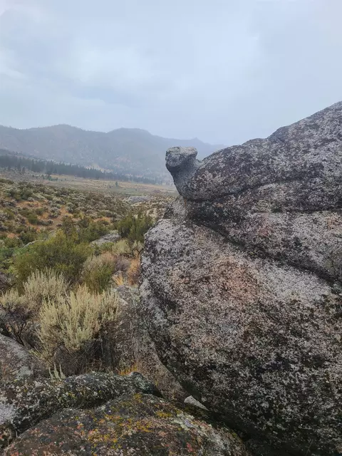 414-000 Scott Rd, Doyle, CA 96109 photo 31