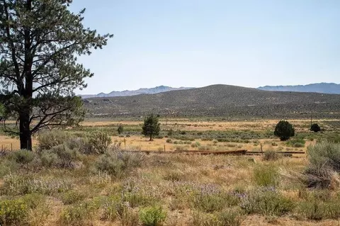 414-000 Scott Rd, Doyle, CA 96109 photo 18