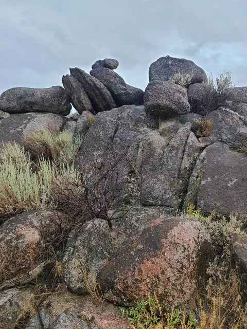 414-000 Scott Rd, Doyle, CA 96109 photo 27